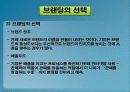 브랜딩 전략(전자상거래) 17페이지