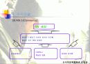 CGV 성공 이야기 15페이지