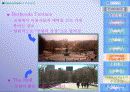Central Park에 대한 프리젠테이션 14페이지