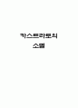카스트라토의 소멸 1페이지