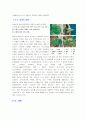 우리나라 산성비의 특징과 원인 10페이지