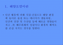 해양오염 1페이지