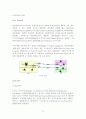 네트워크 개론 21페이지