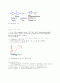 Chemical structure of biopolymer(생체 고분자) 요약 5페이지