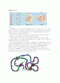 Chemical structure of biopolymer(생체 고분자) 요약 8페이지
