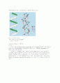 Chemical structure of biopolymer(생체 고분자) 요약 13페이지