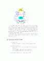 지방·단백질·탄수화물대사 17페이지
