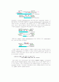 미토콘드리아와에너지생산 13페이지