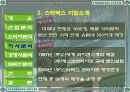 스타벅스 성공사례 분석 13페이지