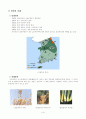 솔잎혹파리 1페이지