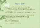 21세기의 새로운 기술 DMB에 대하여 2페이지