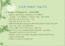 21세기의 새로운 기술 DMB에 대하여 14페이지