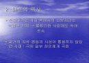 2004매춘여성의 문제점과 복지대책 4페이지