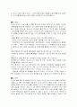 미샤 마케팅 10페이지