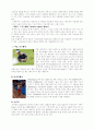 스포츠웨어의 모든것 6페이지