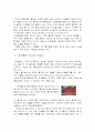 2002한일월드컵을 통한 기업들의 마케팅과 그 효과 7페이지