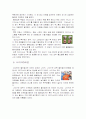 2002한일월드컵을 통한 기업들의 마케팅과 그 효과 9페이지