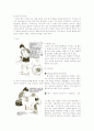 탁구에 대해 알아보자 8페이지