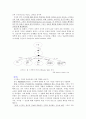 스키머 이론 2페이지