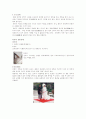 [인문과학] 세계의 결혼풍습 22페이지