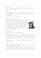 [인문과학] 세계의 결혼풍습 27페이지