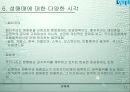 성매매의 원인과 현황 및 성매매 근절방안 13페이지