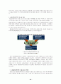 비무장지대(DMZ) 지역 브랜딩 전략 18페이지