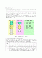 시스템?! 6페이지