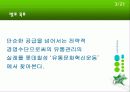유통관리 성공사례-롯데칠성 연구 3페이지