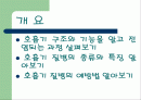 호흡기 질병과 예방법 2페이지