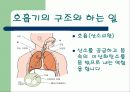 호흡기 질병과 예방법 4페이지