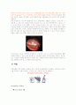 간경변증(사례연구) 4페이지