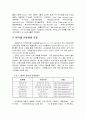 가상몰(Cyber Mall)의 평가에 사용된 새로운 형식의 AHP 9페이지