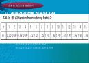 관광분야에서의 'AHP' 실제 적용사례 8페이지