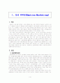 감성-게릴라-경험-로열티 마케팅 7페이지