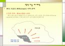 벤처기업 마케팅 16페이지