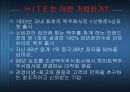 HITE  마케팅 분석 5페이지