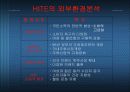 HITE  마케팅 분석 8페이지