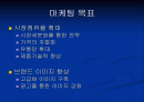 삼성케녹스 마케팅전략 제안 2페이지