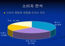 삼성케녹스 마케팅전략 제안 4페이지