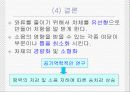 자동차의 주행저항과 소음의 상관관계 27페이지
