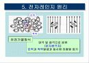 전자레인지의 메카니즘 7페이지