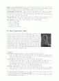 The Era of Realism and Naturalism 3페이지