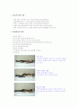 뇌졸증 환자간호(사례연구) 2페이지