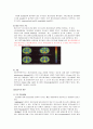 정신 분열증(사례연구) 3페이지