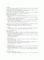 청소년문화 [인문과학]  8페이지