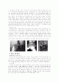 20세기 환경문제 사례 조사 2페이지