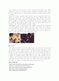 20세기 환경문제 사례 조사 5페이지
