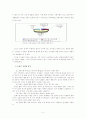 깨끗한 서대문구 만들기 (쓰레기, 청소 정책에 대한 조언) 5페이지