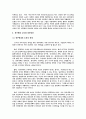 우리나라 정부형태(대통령제)의 문제점과 해결방안 5페이지